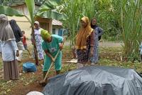 Kualitas Lebih Baik, Kementan Dorong Petani di Lima Puluh Kota Manfaatkan Pupuk Organik