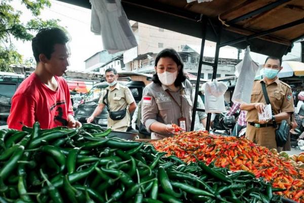 Di Provinsi Kalimantan Tengah, data ketersediaan dan harga yang diperoleh dari 14 kabupaten dan kota secara rutin dilaporkan setiap hari Jumat melalui Pusat Data dan Informasi Kementerian Pertanian.