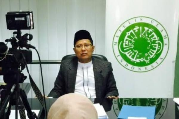 Ketua Majelis Ulama Indonesia (MUI) Bidang Dakwah, Kiai Cholil Nafis mengatakan, Islam itu tidak pernah memberikan sistem kenegaraan secara pasti untuk dijalankan, naik itu model khilafah, imaroh, maupun demokrasi.