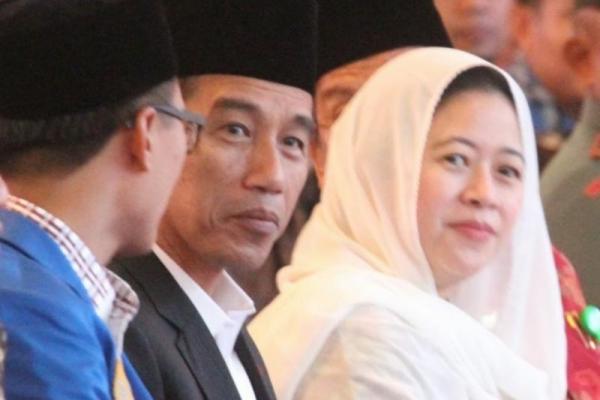 Ketua DPR RI Puan Maharani dinilai sebagai sosok yang tepat untuk melanjutkan dan menuntaskan program kerja pemerintahan Presiden Jokowi.