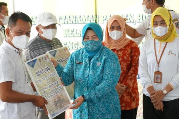 Direktorat Jenderal Hortikultura bekerja sama dengan Pemerintah Provinsi Kalimantan Selatan (Kalsel) melalui Dinas Tanaman Pangan dan Hortikultura Provinsi Kalsel kembali menggelar GPM Pasar Murah Ramadhan di Provinsi Kalsel.