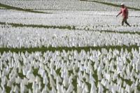 Pandemi COVID-19 Tewaskan hingga 15 Juta Orang Tahun 2020 dan 2021