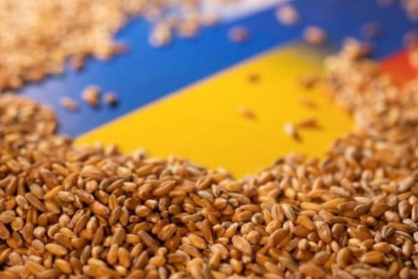 Ukraina punya stok gandum senilai Rp 149 triliun yang tersedia untuk dijual.