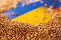 Uni Eropa Janjikan Lebih Banyak Bantuan atas Kebuntuan Biji-bijian Ukraina