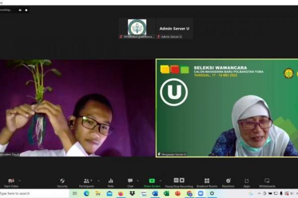 Jaring milenial berkualitas, Kementan selenggarakan wawancara PMB virtual