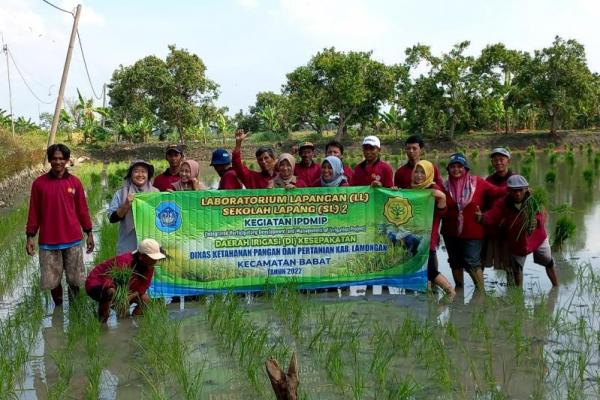 Kementan maksimalkan kostratani wujudkan swasembada beras