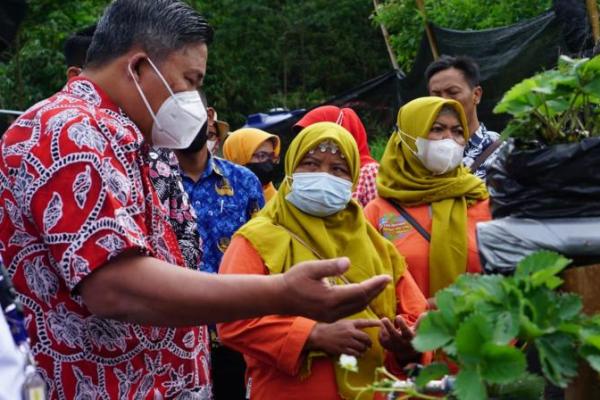 Kementan dorong pembangunan Kampung Hortikultura di daerah rawan bencana Bukit Klangon