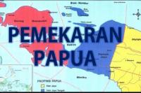 Dukung Pemekaran Papua, Sikap Anggota DPR Provinsi Papua Disesalkan
