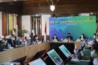 Sidang AFSIS Ke-20, Kementan Usung Digitalisasi Sektor Pertanian Untuk Perkuat Ketahanan Pangan
