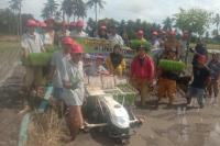Kementan Dorong Pemanfaatan Transplanter untuk Genjot Produksi Pertanian