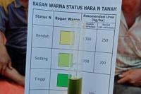 Agar Produksi Maksimal, Kementan Ajak Petani Persiapkan Lahan dengan Baik