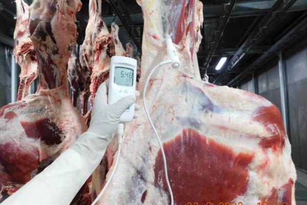 Direksi Bulog Langsung ke India pastikan daging impor bebas PMK.