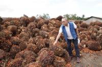 Strategi Mendag Zulkifli Hasan Kerek Harga TBS di Tingkat Petani