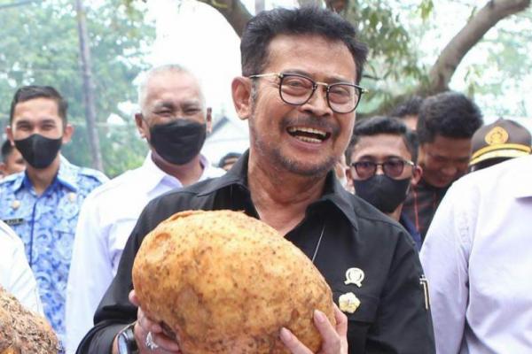Mentan Syahrul ungkap perjuaangan Kementan buka kembali ekspor porang ke China.