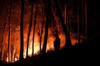 Portugal Kerahkan 3.000 Petugas Pemadam Kebakaran Perangi Gelombang Panas