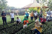 Kendalikan Inflasi, Kementan Bagikan 3.500 Benih Cabai ke Masyarakat Jakarta