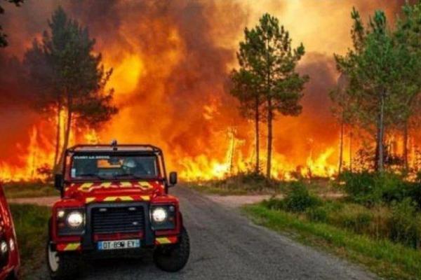 Kebakaran hutan landa Prancis dan Spanyol.