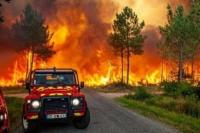 Kebakaran Hutan Landa Prancis dan Spanyol
