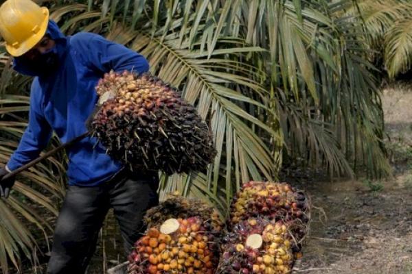 Artinya Indonesia berkontribusi terhadap ketersediaan barang konsumsi, pangan, dan energi untuk dunia.