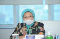 Usaha Ikan Hias Go Digital, KKP Gandeng kalikan.id