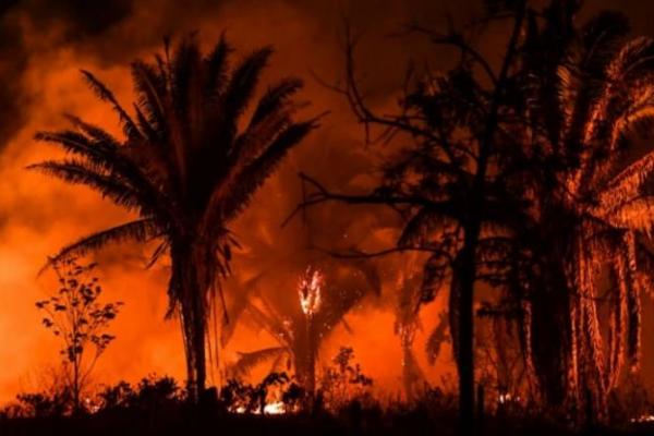 Kebakaran hutan di Amazon capai level tertinggi hampir 15 tahun pekan ini.