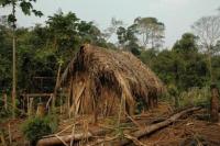 Sukunya Dibantai, Ini Akhir Tragis "Manusia Lubang" di Brasil