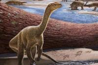 Ilmuwan Temukan Fosil Dinosaurus Tertua di Afrika