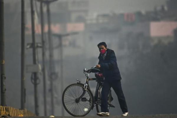 PBB: gelombang panas dan kebakaran hutan perburuk polusi udara.