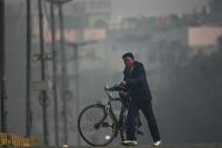 PBB: Gelombang Panas dan Kebakaran Hutan Perburuk Polusi Udara