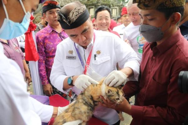Hari Rabies Sedunia, Kementan vaksinasi massal hewan secara gratis di Bali.