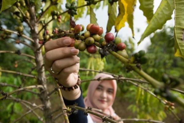 Sejalan dengan program Kementan, Susi Pudjiastuti ngajakin pemuda bertani