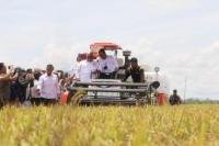 Perangi Perubahan Iklim, Kementan Dorong Budidaya Padi Rendah Emisi