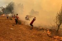 Paparan Asap Karhutla Saat Hamil Tua Bisa Picu Risiko Autisme