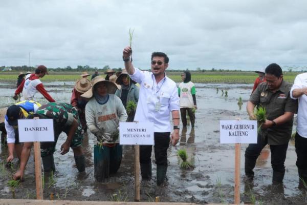Perkuat Produksi Beras, Mentan Syahrul Kawal Gerakan Tanam di Food Estate Kapuas.
