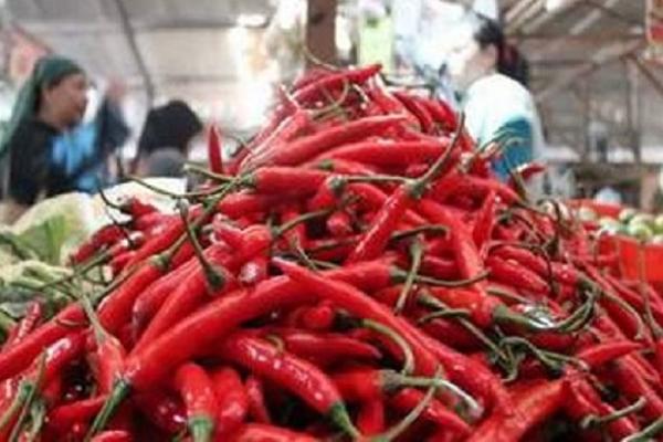 Jelang Natal dan Tahun Baru, Ini Harga Pangan yang Alami Kenaikan