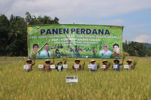 BPTP Jawa Barat pastikan stok beras aman