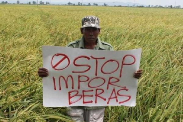 Panen raya padi yang berlangsung hingga bulan April tahun ini menghasilkan produksi gabah atau beras yang tinggi sehingga Indonesia akan mengalami surplus.