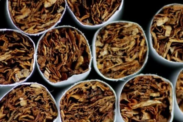 Selandia Baru Larang Generasi Mendatang Beli Tembakau Berdasarkan UU Baru.