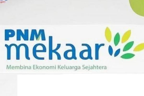 Ketua Umum Asosiasi Industri Usaha Mikro Kecil Dan Menengah (IUMKM) Indonesia Akumandiri Hermawati Setyorinny mengatakan, kehadiran PNM Mekaar bisa memberdayakan ekonomi rumah tangga. Sebab, mayoritas nasabah hampir 90 persen lebih merupakan UMKM yang dikelola oleh perempuan. 