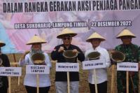Tanam Jagung di Lampung Timur, Wamentan: Ikhtiar Bersama Jaga Ketahanan Pangan