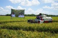 Panen Raya di Grobogan, Mentan SYL Pastikan Kondisi Beras Melimpah