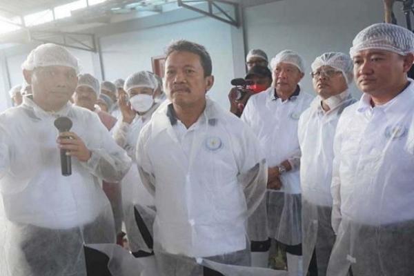 Menteri Trenggono Tinjau Program Udang Vaname di Bali