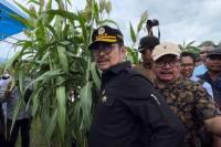 Mentan Syahrul: Pertanian Makin Dilanda Krisis Makin Menguntungkan