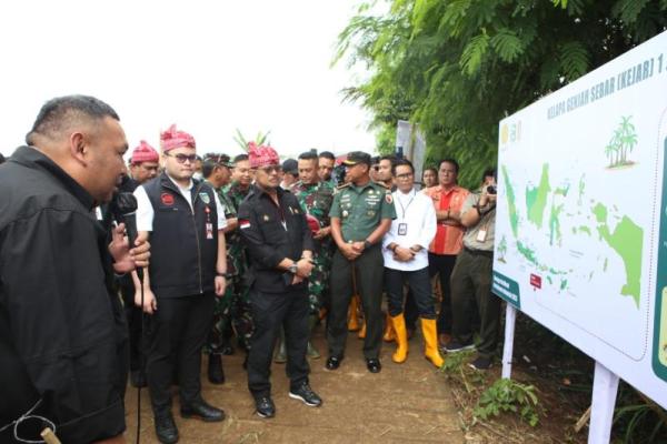 Di Kendari sendiri akan dikembangkan sebanyak 24.090 batang dengan klaster pekarangan dan kawasan, dari total Provinsi Jawa Timur 96.690 batang.