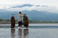 Perppu Cipta Kerja akan Perkuat Pengembangan Budi Daya Laut