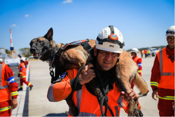 K9, homofon anjing, adalah anjing yang dilatih khusus untuk membantu pasukan keamanan dan tim darurat dalam penyelamatan, penegakan narkoba, atau operasi lainnya.