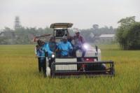 Mentan Syahrul Panen Padi di Kota Soto, Produktivitas 7,3 Ton Per Hektare