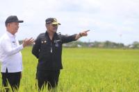Mentan Syahrul Puas dengan Luas Tanam Padi di Food Estate Kalimantan Tengah