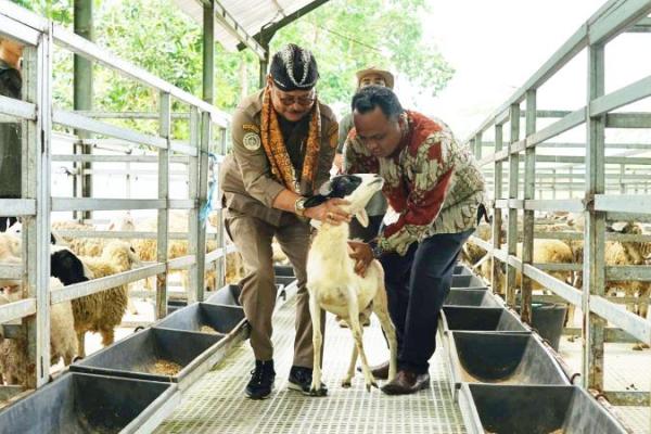 Model ini diharapkan dapat menjadi sistem pemberdayaan dan peningkatan skala usaha sekaligus menciptakan ekosistem, sehingga dapat meningkatkan pendapatan peternak yang berdampak pada kesejahteraan peternak.