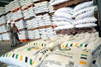 Pupuk Subsidi Siap Diedarkan, Ini Jadwal Distribusinya